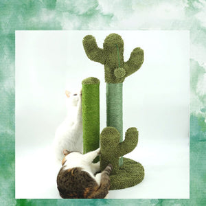 Cats Scratching Kitten Climbing Cactus Tree