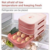 Plastic Egg Storage Containers Organizer Box